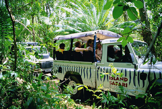 Island Safari Barbados